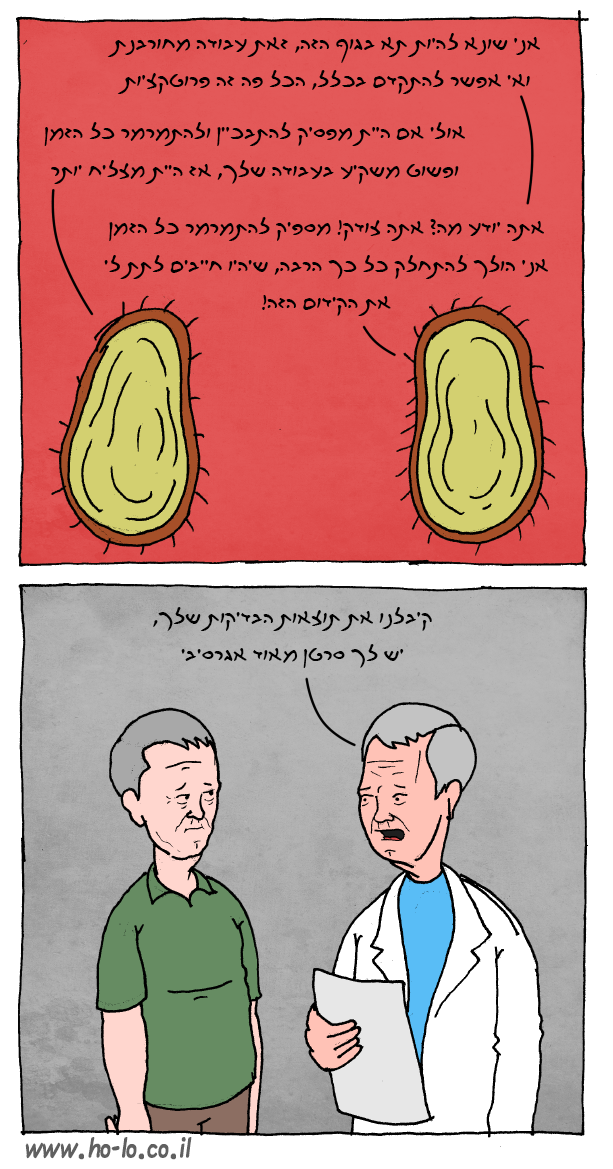 מוטיבציה