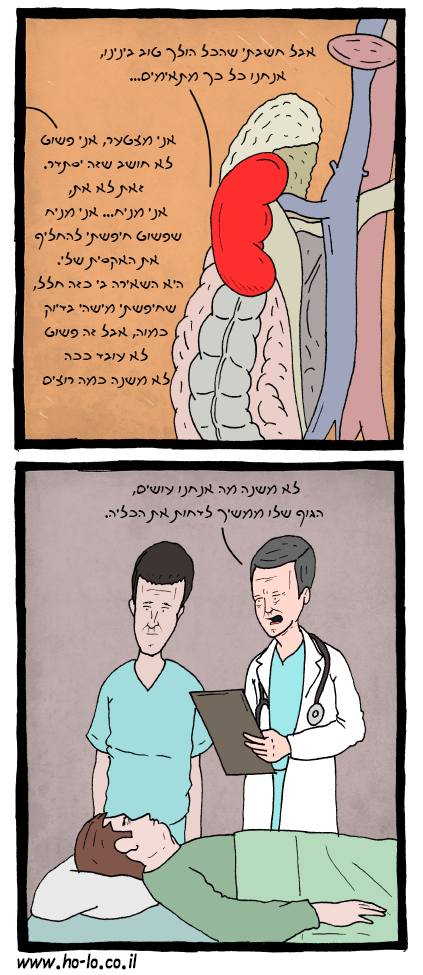 כליה